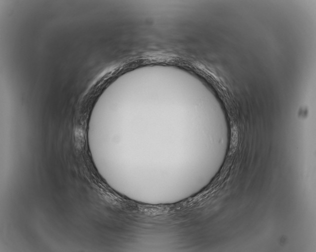 X0000095931254200801110910