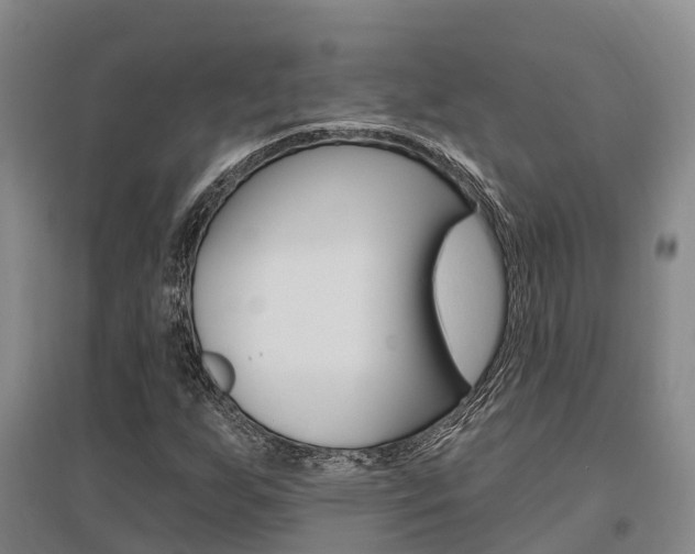 X0000095931255200801110910