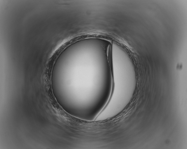 X0000095931256200801110910