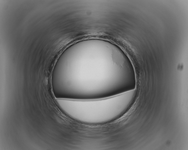 X0000095931257200801110910