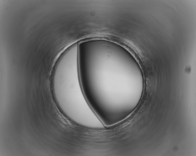X0000095931260200801110910