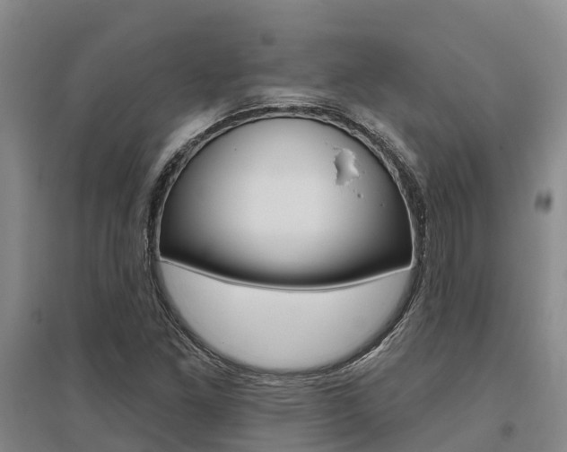 X0000095931261200801110910