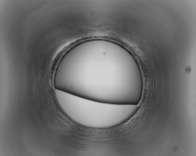 X0000095931262200801110910