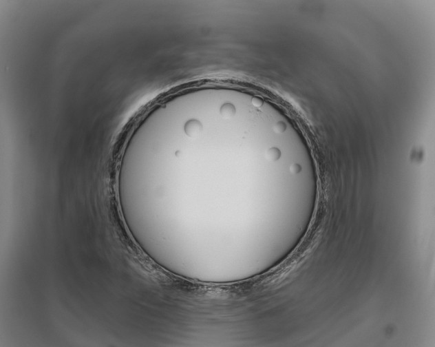 X0000095931263200801110910