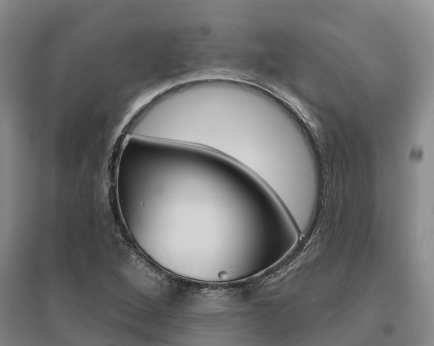 X0000095931264200801110910