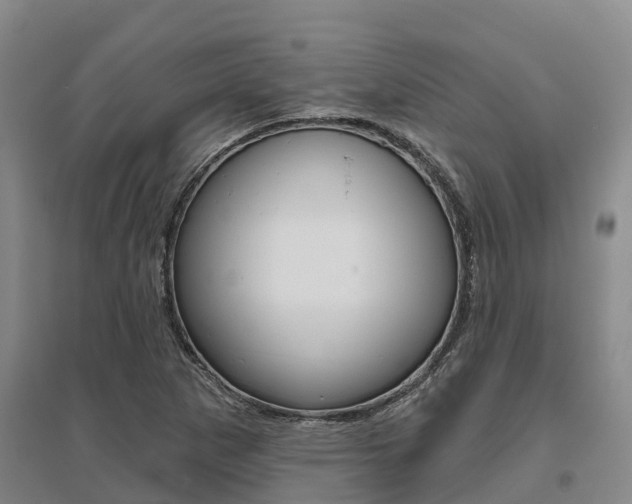 X0000095931265200801110910