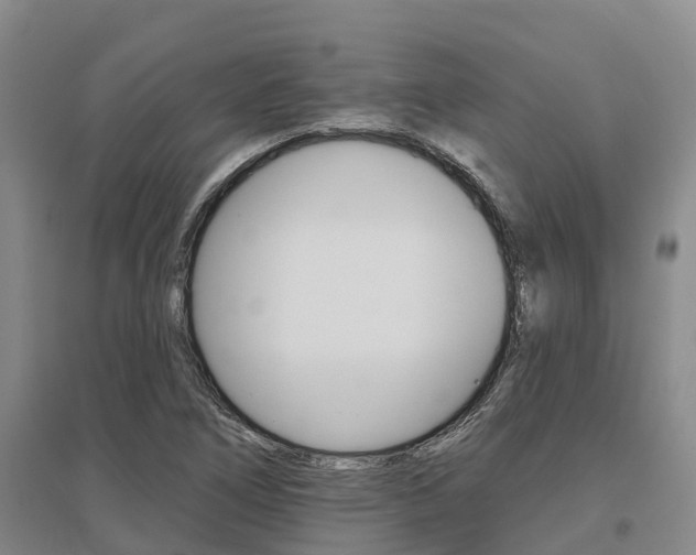 X0000095931266200801110910
