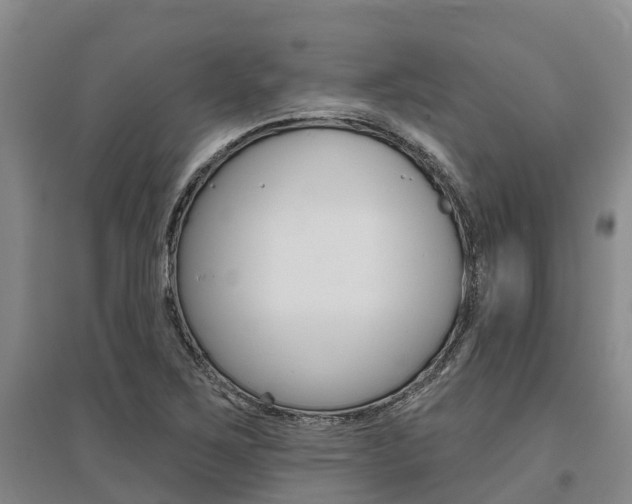 X0000095931267200801110909