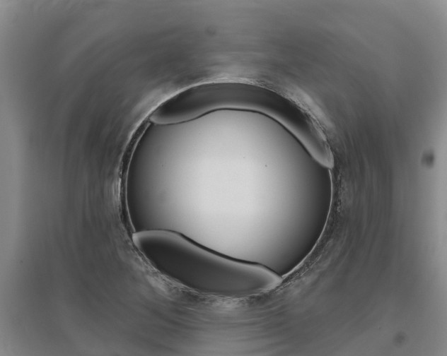 X0000095931268200801110909
