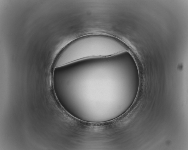 X0000095931269200801110909