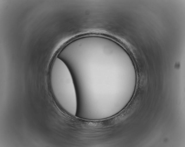 X0000095931271200801110909