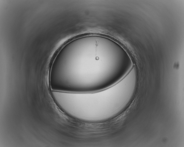 X0000095931272200801110909