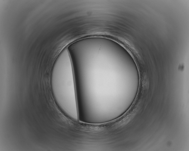 X0000095931273200801110909