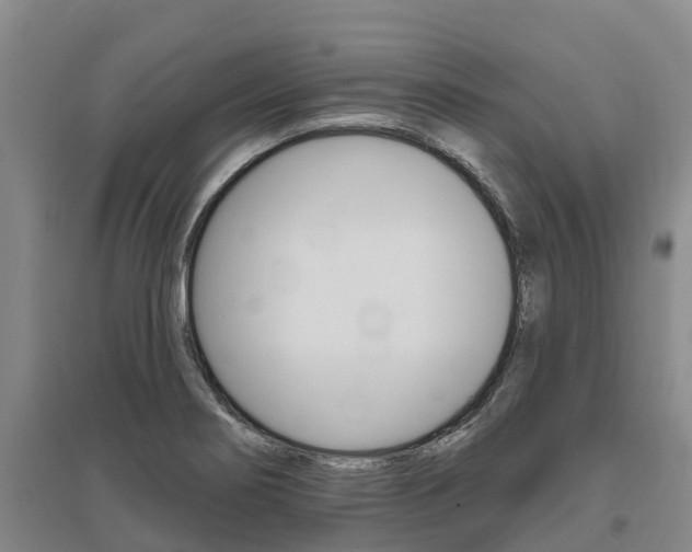 X0000095931274200801110909