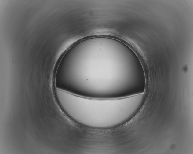 X0000095931277200801110909