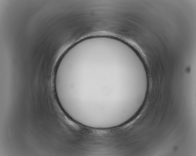 X0000095931278200801110909