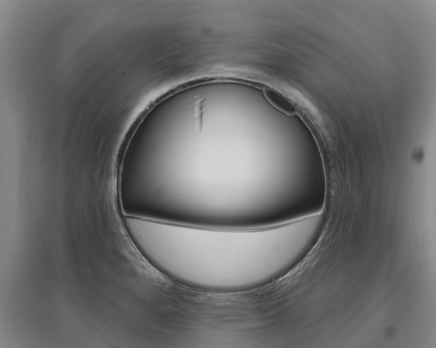 X0000095931280200801110909