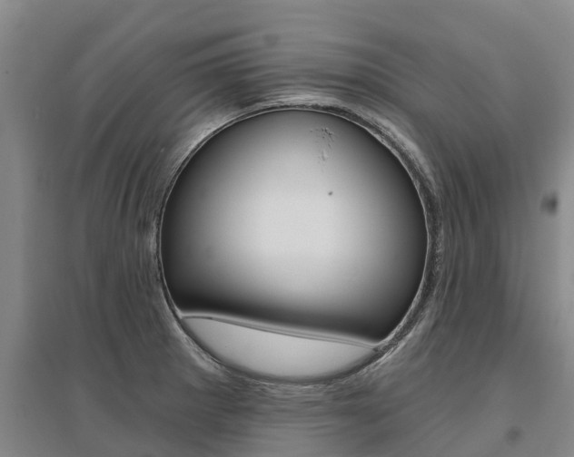 X0000095931281200801110909