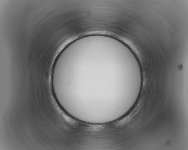 X0000095931282200801110909