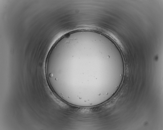 X0000095931283200801110909