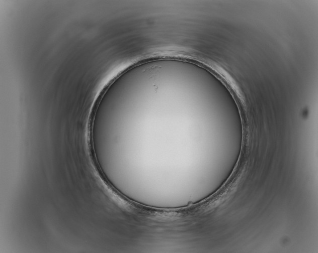 X0000095931285200801110909