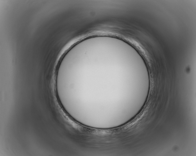 X0000095931286200801110909