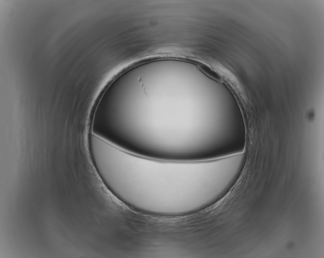 X0000095931288200801110909