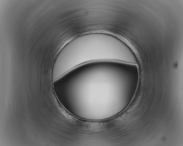 X0000095931289200801110909