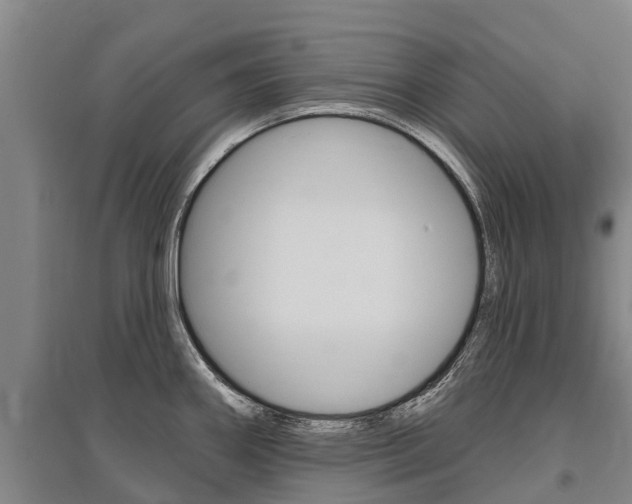 X0000095931290200801110909