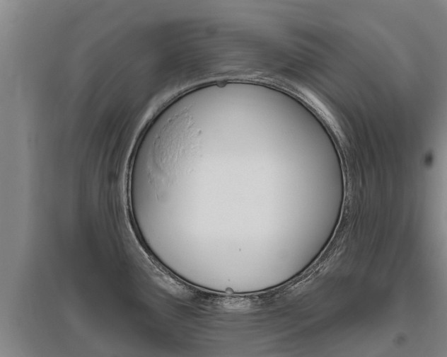 X0000095931291200801110909