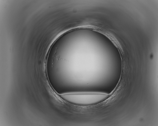 X0000095931292200801110909