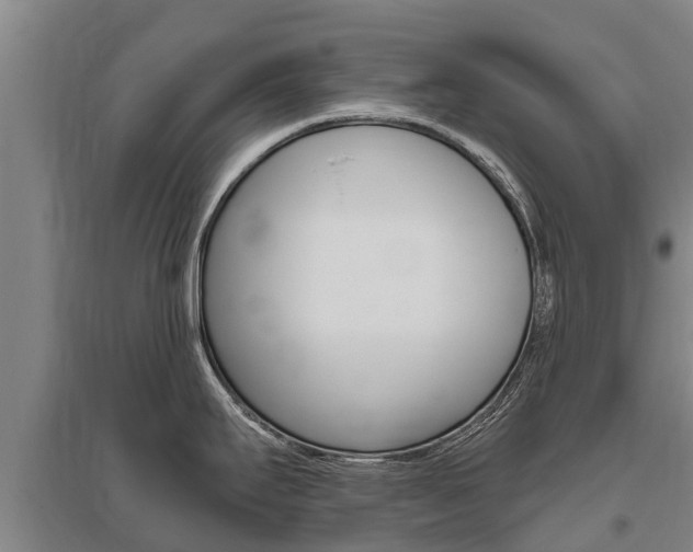 X0000095931295200801110909