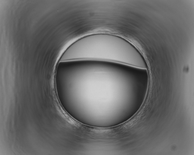 X0000095931296200801110909