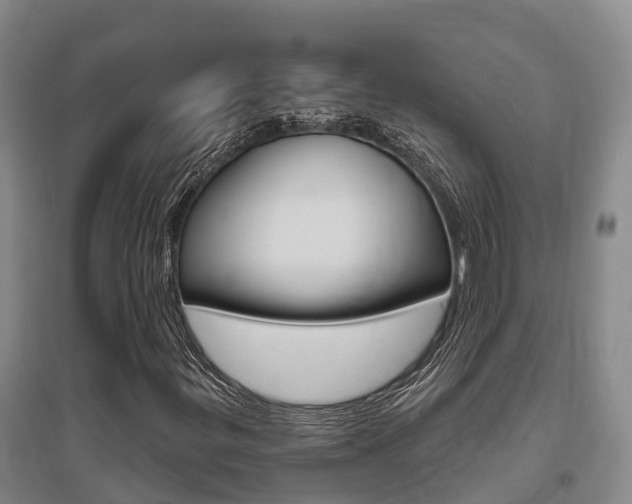 X0000095931299200801110908
