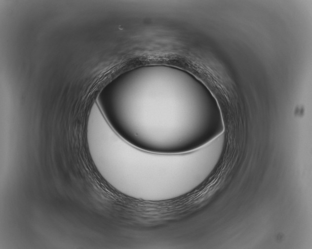 X0000095931300200801110908