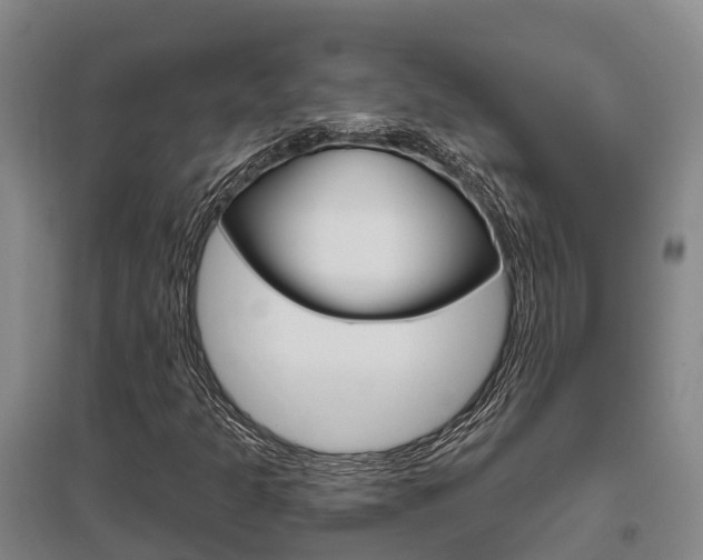 X0000095931301200801110908