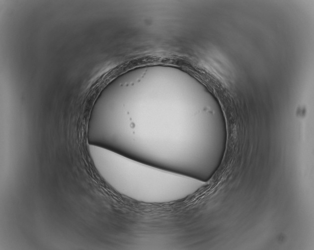 X0000095931302200801110908