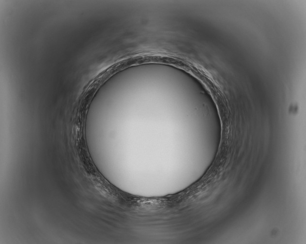 X0000095931303200801110909
