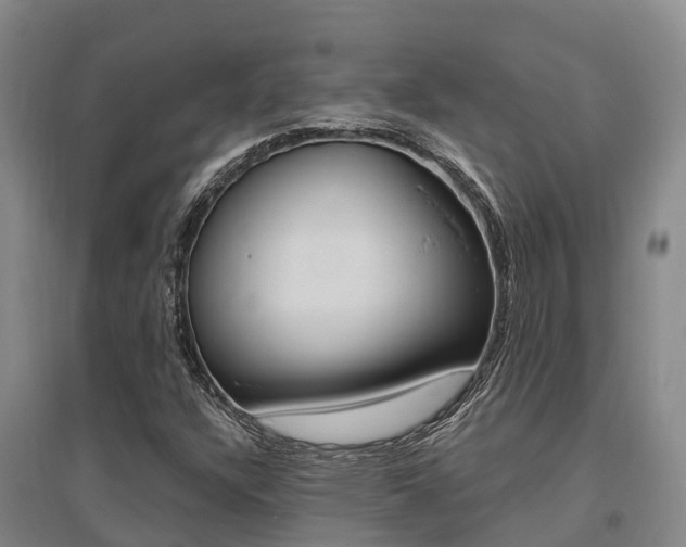X0000095931304200801110909
