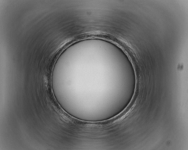 X0000095931305200801110909