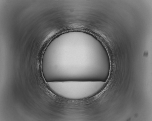 X0000095931306200801110909