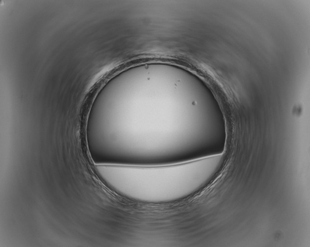 X0000095931307200801110909