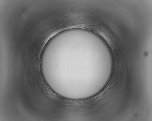 X0000095931308200801110909