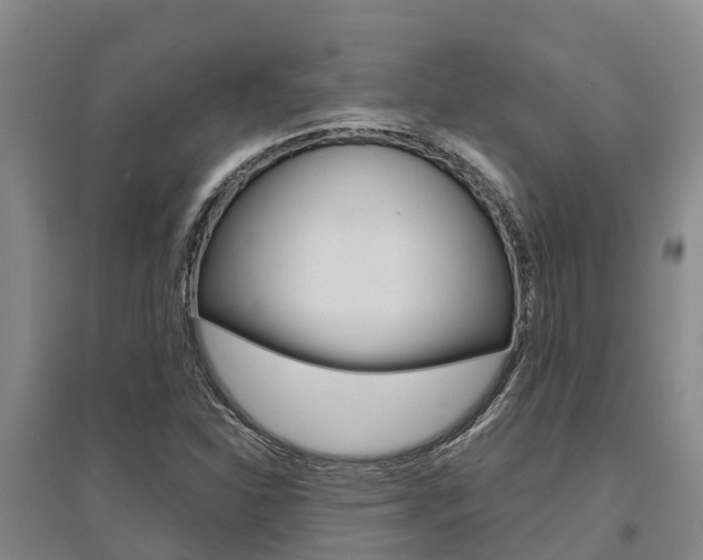 X0000095931310200801110909