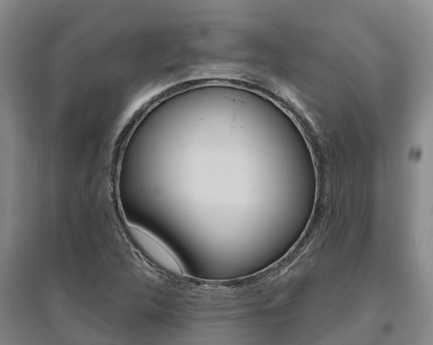 X0000095931312200801110909