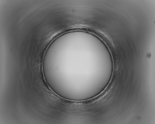 X0000095931313200801110909