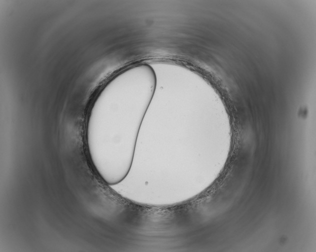 X0000095931314200801110909