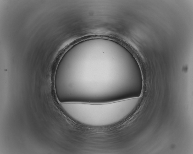 X0000095931315200801110909