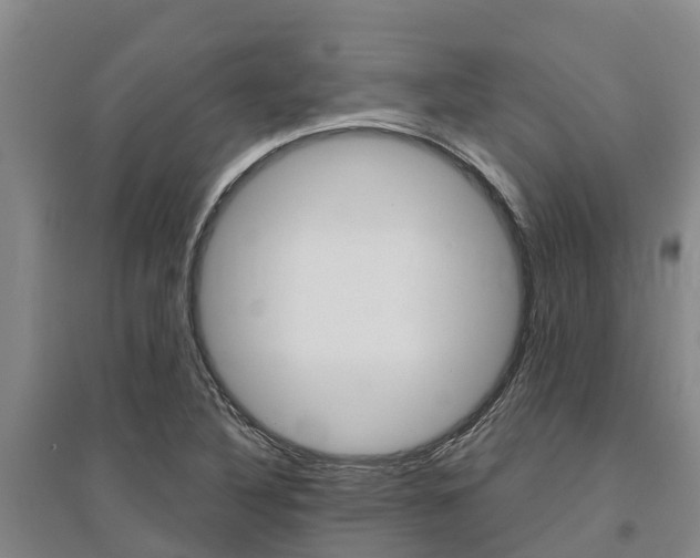 X0000095931316200801110909