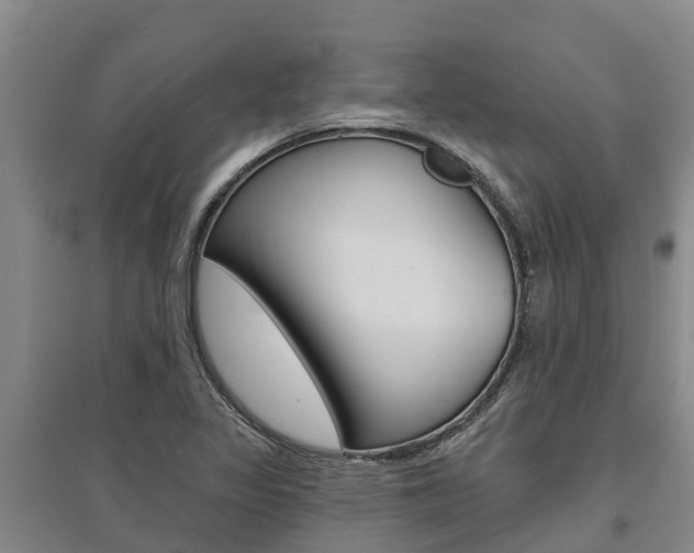 X0000095931317200801110909